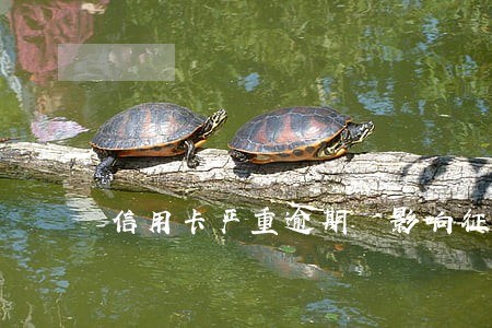 信用卡严重逾期 影响征信吗 信用卡严重逾期 影响征信吗